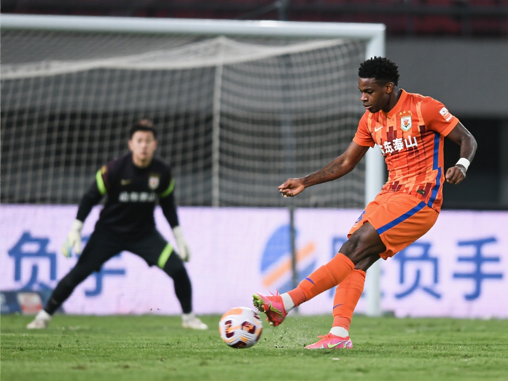 体育彩票官方网站如何快速查看历史开奖记录？