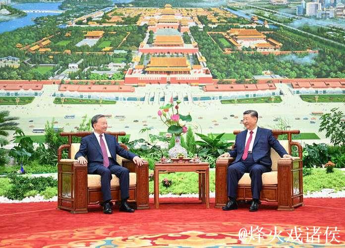 习近平同越共中央总书记苏林举行会谈